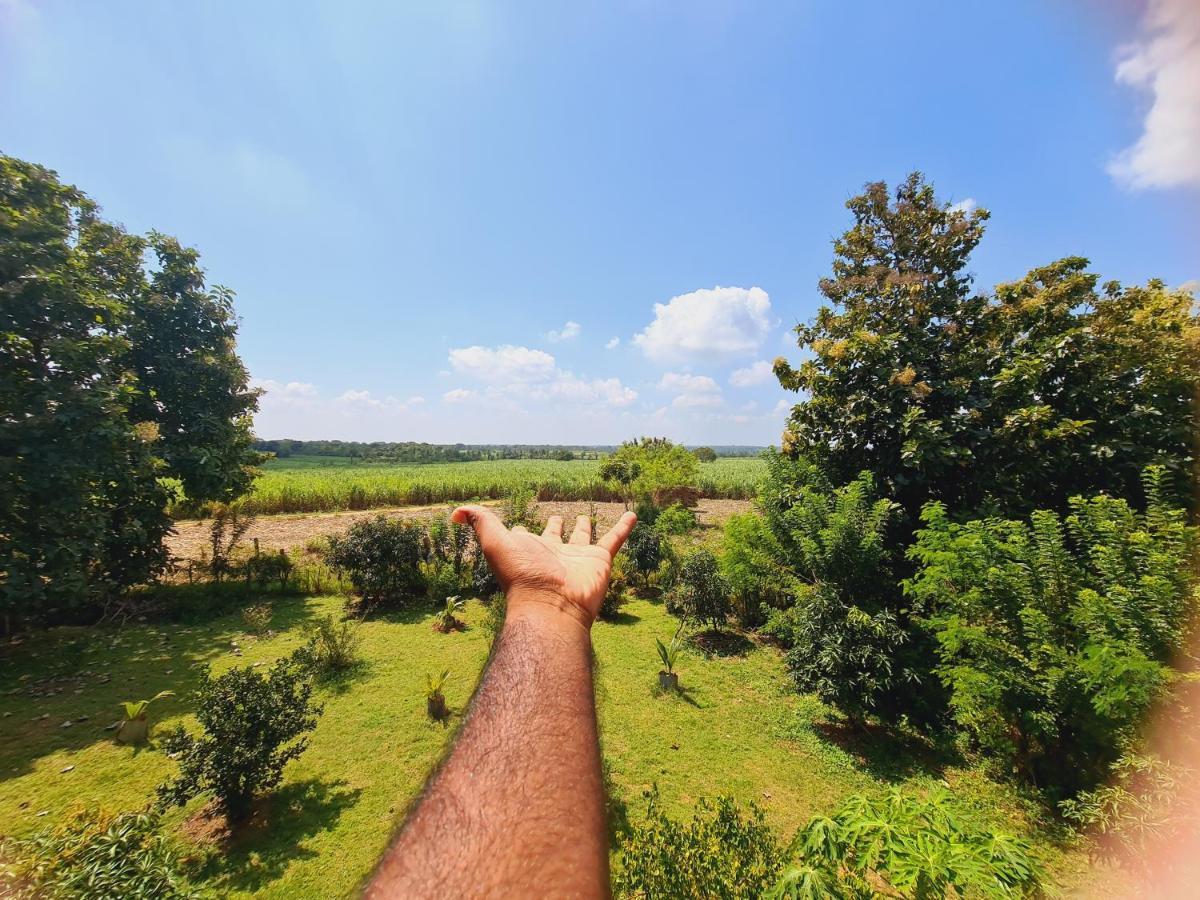 אודוואלאווה Jungle Lodge מראה חיצוני תמונה